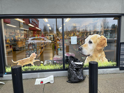 Window Graphics Photo